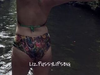 LIZPUSSYLIPSBIG