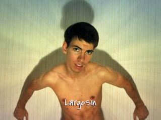 LargeSin