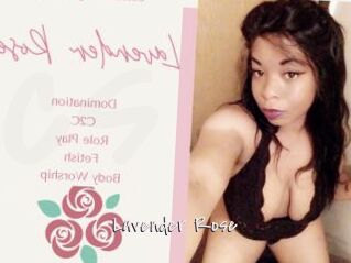 Lavender_Rose