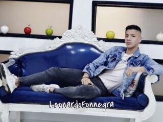 LeonardoFonnegra