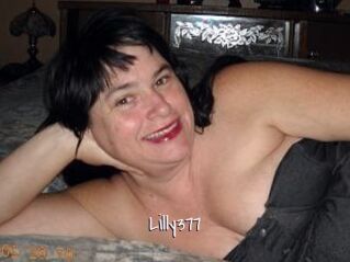 Lilly377