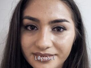 LillyVelvet