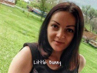 Little_Bunny_