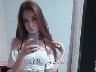 Little_Red_Cat
