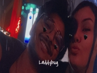 Laddybug