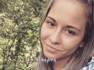 Ladybird