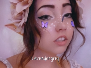 Lavendergrey