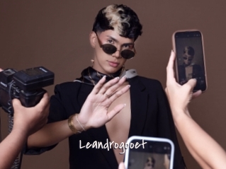 Leandrogooet