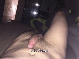 Lebeaumec