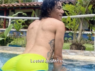 Leonardosantos