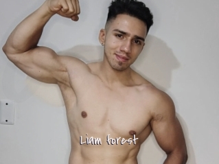 Liam_forest