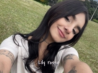Lily_rosse