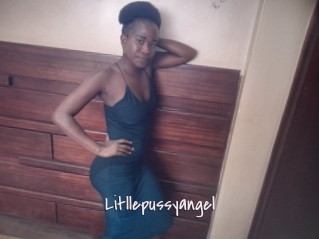 Litllepussyangel