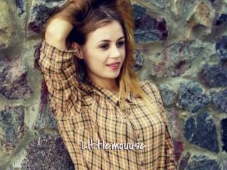 Littlemouuse