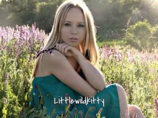 littlewildkitty Commando Sexy
