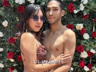 Lizyandmarks