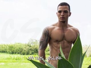 MATIUS_COSLINK