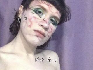 Mint_pie_x