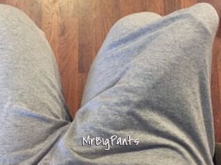 MrBigPants