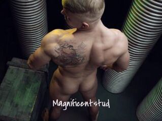 magnificentstud Commando Sexy