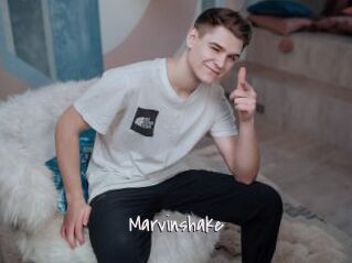Marvinshake