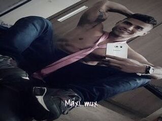 Maxi_mux