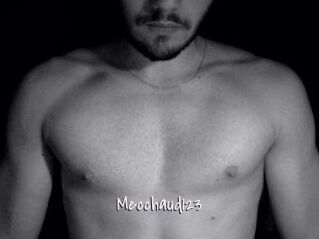 Mecchaud123