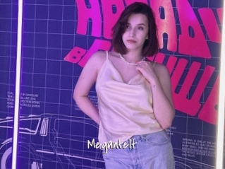 Meganfelt