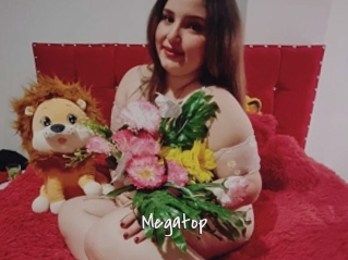 Megatop