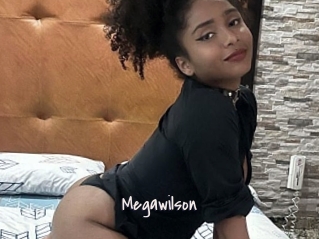 Megawilson