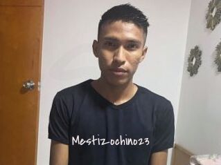 Mestizochino23