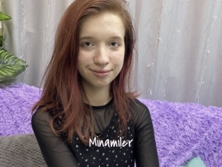 Minamiler