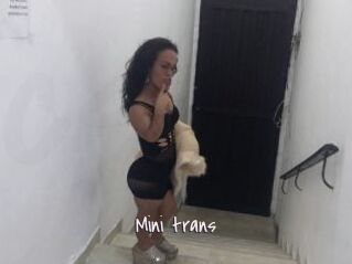 Mini_trans