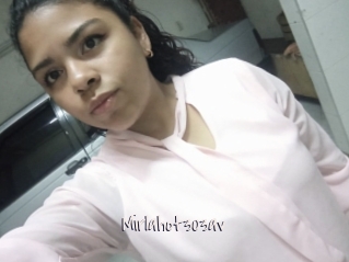 Mirlahot303av