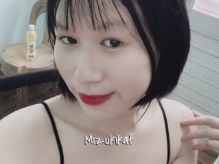 Mizukikat