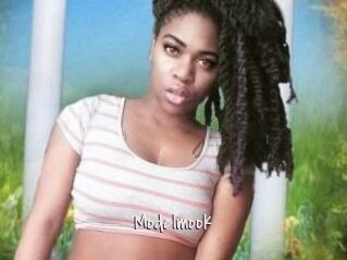 Modelmook