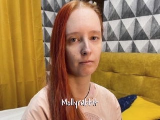 Mollyrabbit