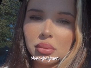 Moneybagbunny