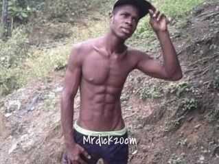 Mrdick20cm