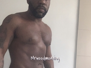 Mrwoodmoaning