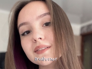 Orvaberner