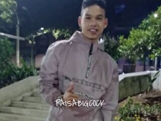 PAISABIGCOCK