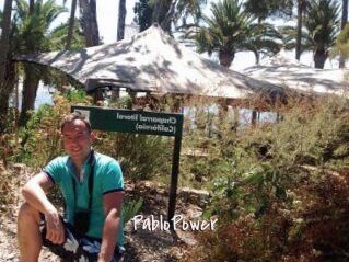 PabloPower