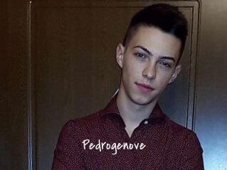Pedrogenove