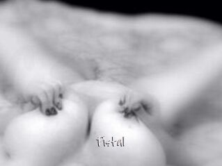 Pistal