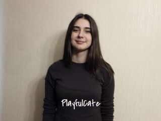 PlayfulCate