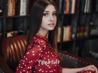 PolinaSoft
