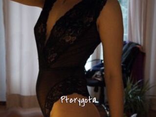 Pterygota Commando Sexy