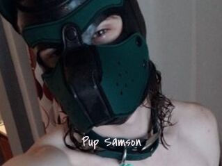 Pup_Samson
