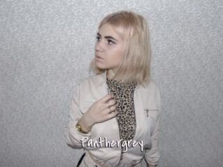 Panthergrey